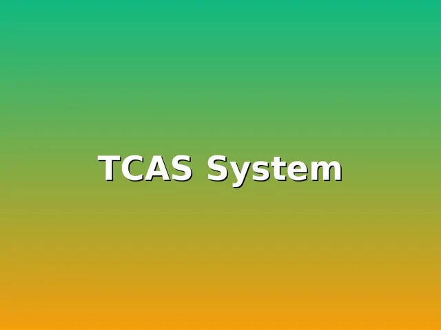 TCAS System screenshot